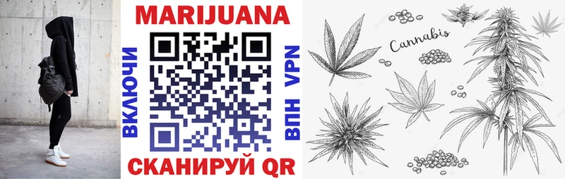 Марихуана SATIVA & INDICA  блэк спрут зеркало  Темников  где продают  